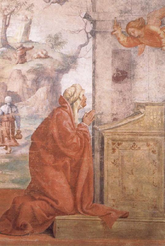 LUINI, Bernardino La Anunciacion del nacimiento de Maria China oil painting art
